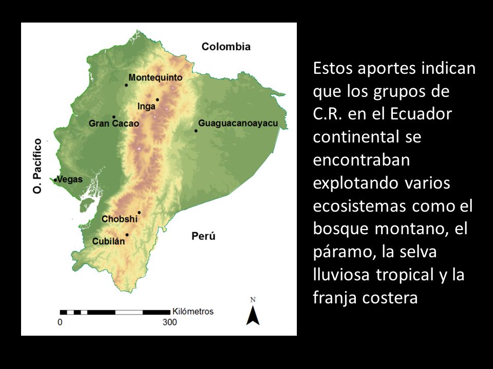 Estos aportes indican que los grupos de C. R