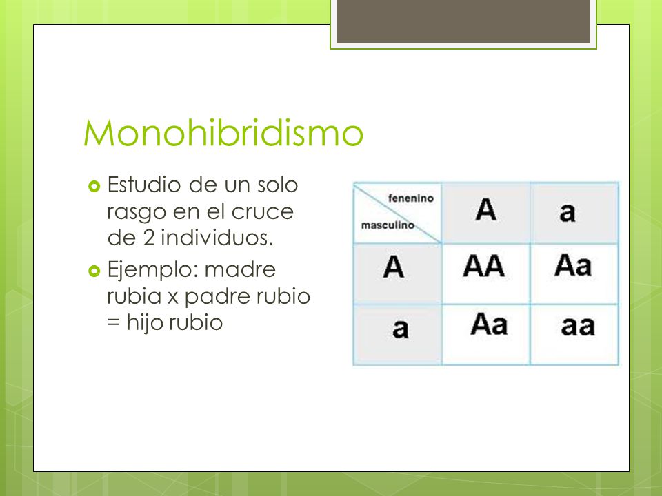 Monohibridismo Estudio de un solo rasgo en el cruce de 2 individuos.