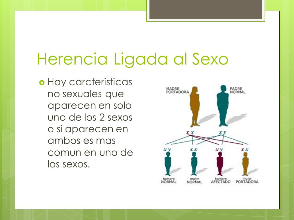 Herencia Ligada al Sexo