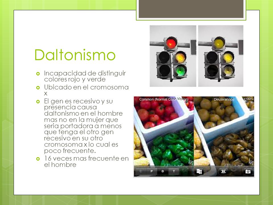 Daltonismo Incapacidad de distinguir colores rojo y verde