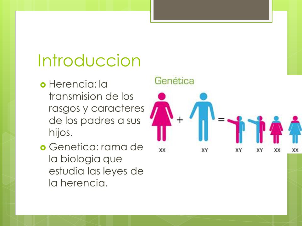 Introduccion Herencia: la transmision de los rasgos y caracteres de los padres a sus hijos.