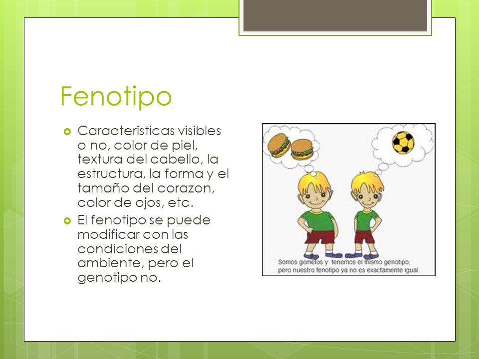 Fenotipo Caracteristicas visibles o no, color de piel, textura del cabello, la estructura, la forma y el tamaño del corazon, color de ojos, etc.