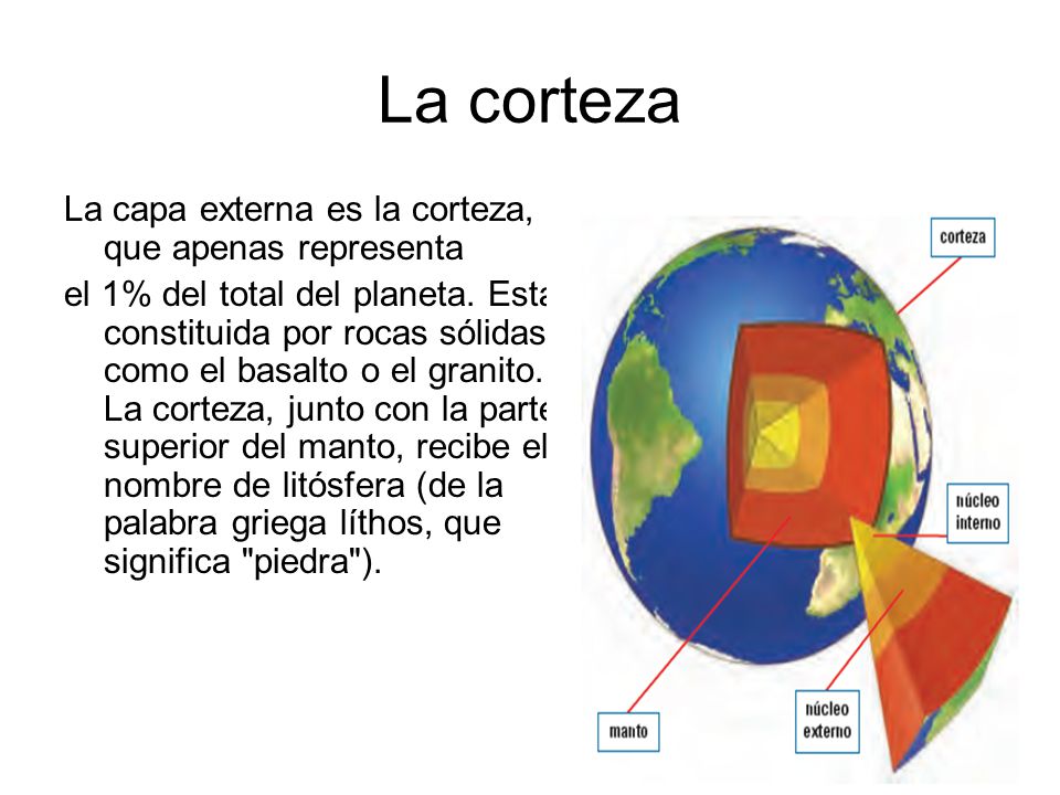 La corteza La capa externa es la corteza, que apenas representa