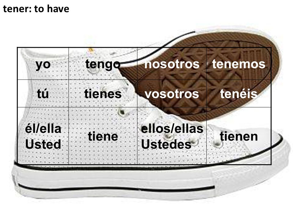 yo tengo nosotros tenemos tú tienes vosotros tenéis él/ella Usted