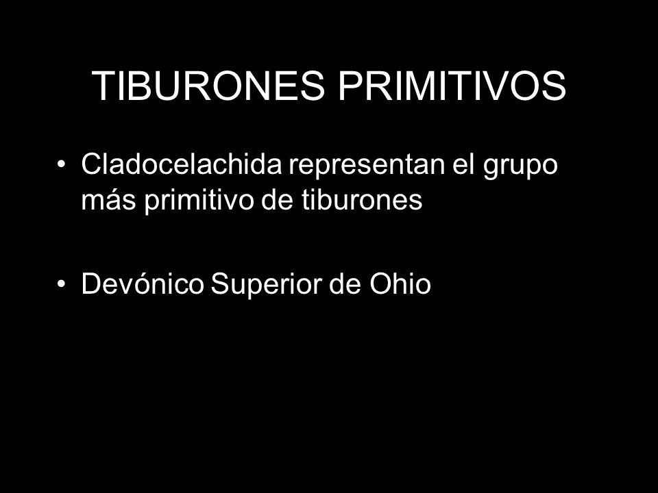 TIBURONES PRIMITIVOS Cladocelachida representan el grupo más primitivo de tiburones.