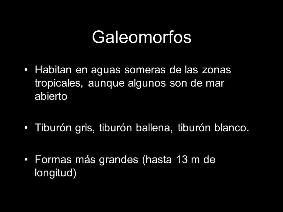 Galeomorfos Habitan en aguas someras de las zonas tropicales, aunque algunos son de mar abierto. Tiburón gris, tiburón ballena, tiburón blanco.