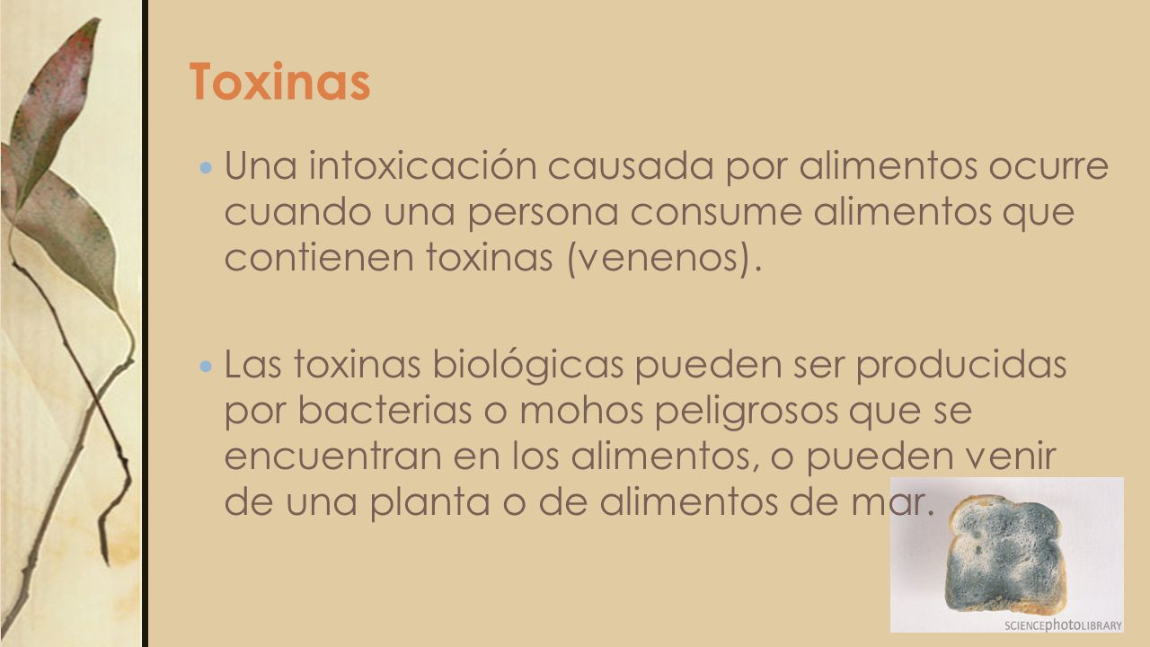 Toxinas Una intoxicación causada por alimentos ocurre cuando una persona consume alimentos que contienen toxinas (venenos).