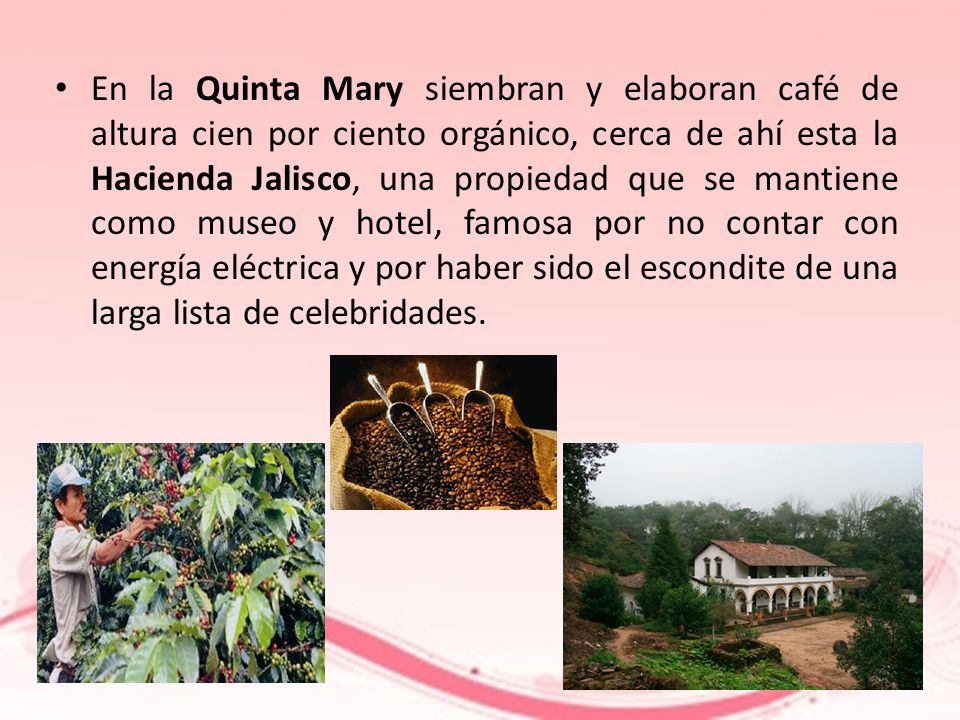 En la Quinta Mary siembran y elaboran café de altura cien por ciento orgánico, cerca de ahí esta la Hacienda Jalisco, una propiedad que se mantiene como museo y hotel, famosa por no contar con energía eléctrica y por haber sido el escondite de una larga lista de celebridades.