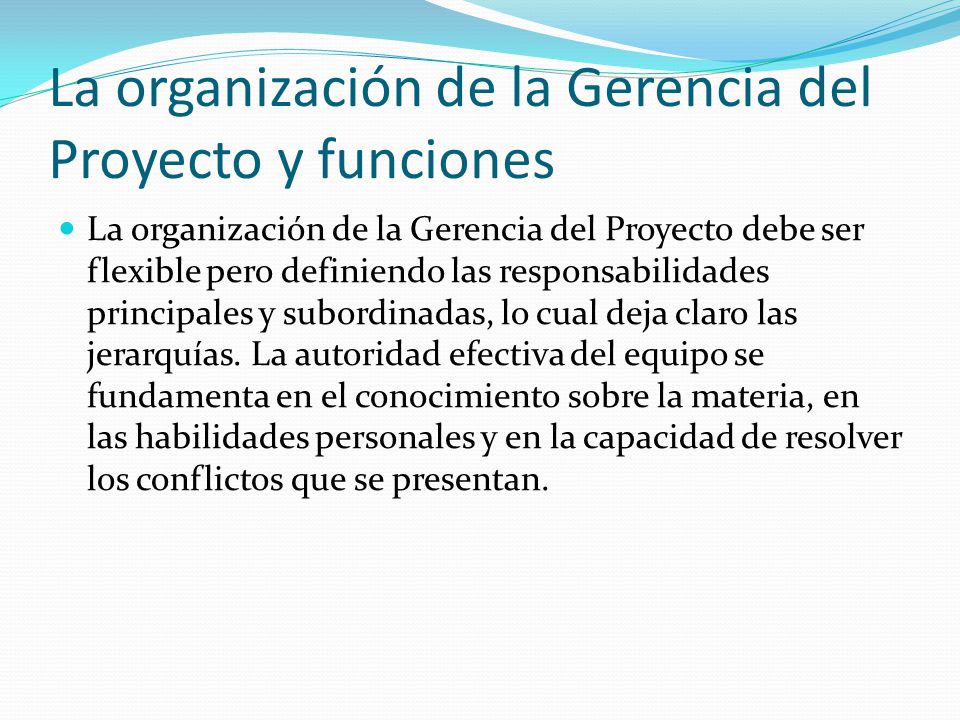 La organización de la Gerencia del Proyecto y funciones
