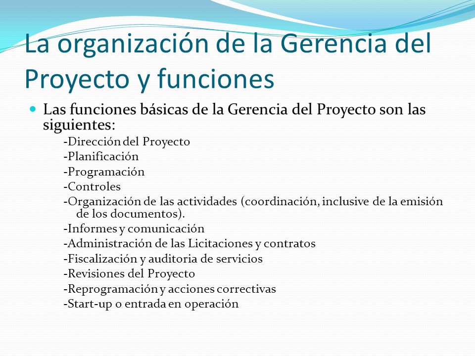 La organización de la Gerencia del Proyecto y funciones