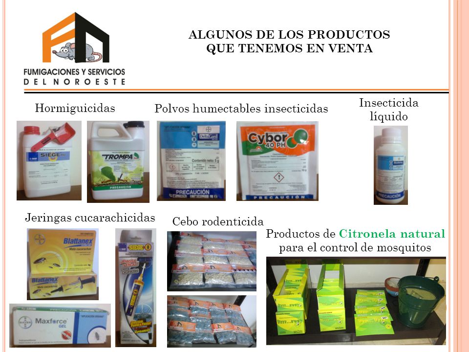 ALGUNOS DE LOS PRODUCTOS QUE TENEMOS EN VENTA