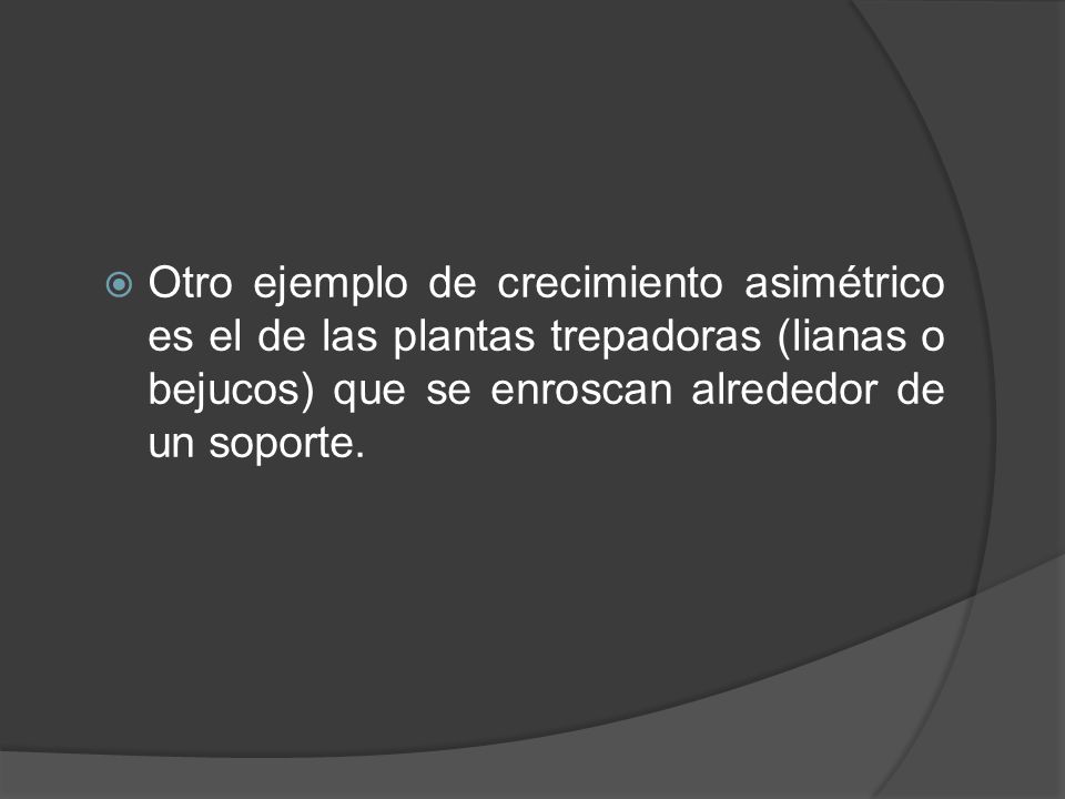 Otro ejemplo de crecimiento asimétrico es el de las plantas trepadoras (lianas o bejucos) que se enroscan alrededor de un soporte.