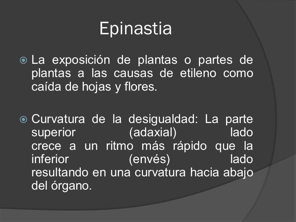 Epinastia La exposición de plantas o partes de plantas a las causas de etileno como caída de hojas y flores.