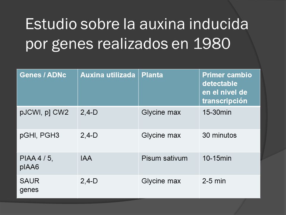 Estudio sobre la auxina inducida por genes realizados en 1980