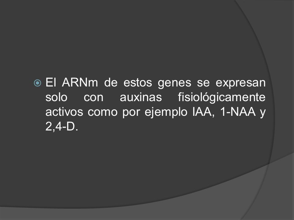 El ARNm de estos genes se expresan solo con auxinas fisiológicamente activos como por ejemplo IAA, 1-NAA y 2,4-D.
