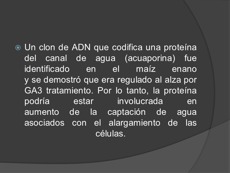 Un clon de ADN que codifica una proteína del canal de agua (acuaporina) fue identificado en el maíz enano y se demostró que era regulado al alza por GA3 tratamiento.