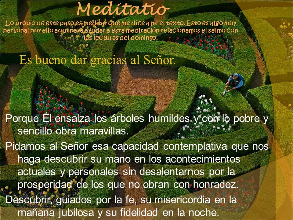Meditatio Lo propio de este paso es meditar qué me dice a mi el texto