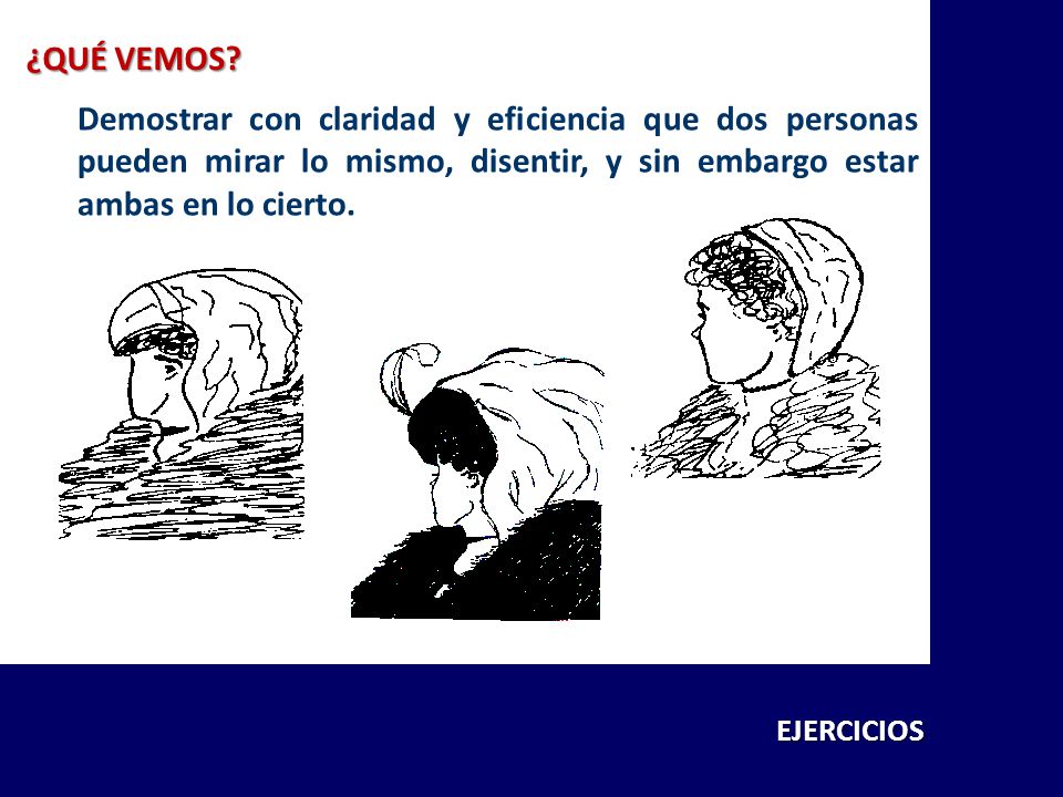 ¿QUÉ VEMOS Demostrar con claridad y eficiencia que dos personas pueden mirar lo mismo, disentir, y sin embargo estar ambas en lo cierto.