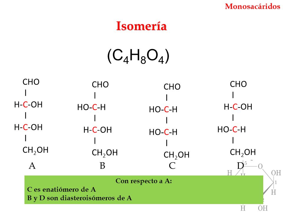 (C4H8O4) Isomería CHO CHO CHO l CHO l l l H-C-OH HO-C-H H-C-OH HO-C-H