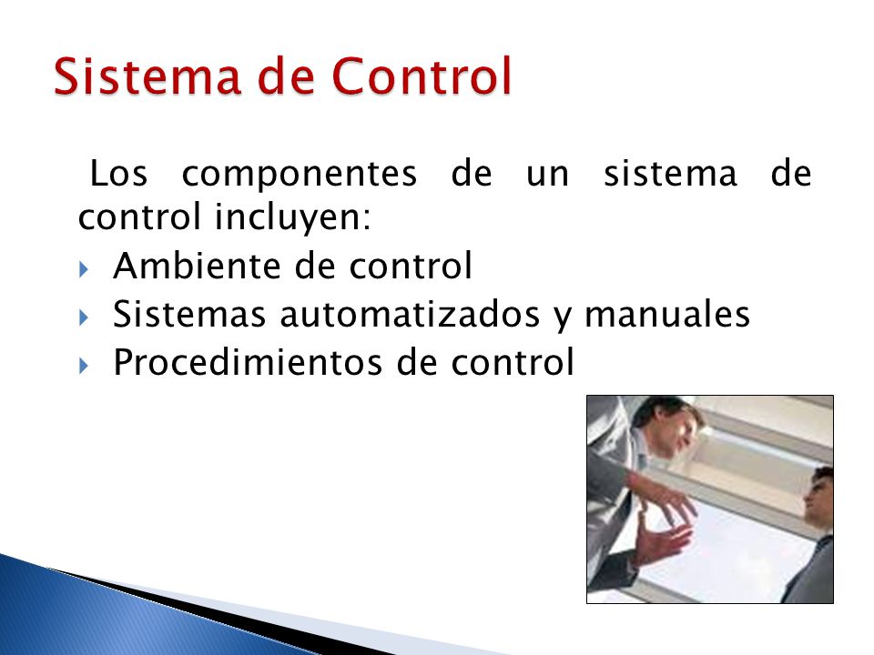 Sistema de Control Los componentes de un sistema de control incluyen: