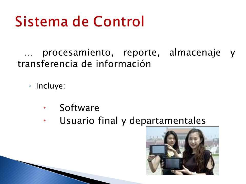 Sistema de Control … procesamiento, reporte, almacenaje y transferencia de información. Incluye: Software.