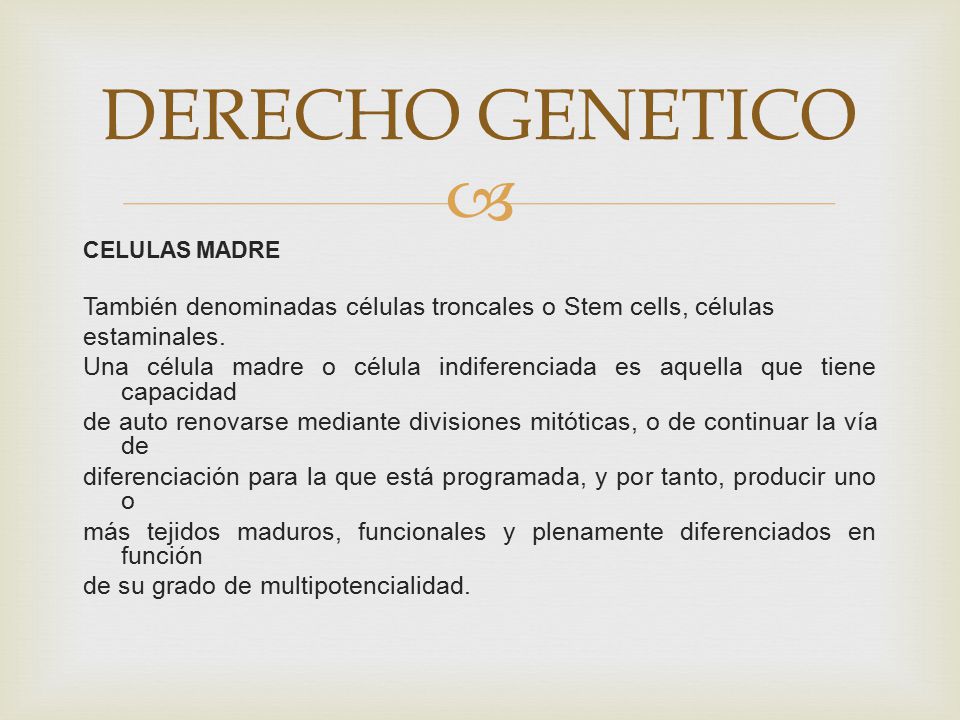 DERECHO GENETICO CELULAS MADRE. También denominadas células troncales o Stem cells, células. estaminales.