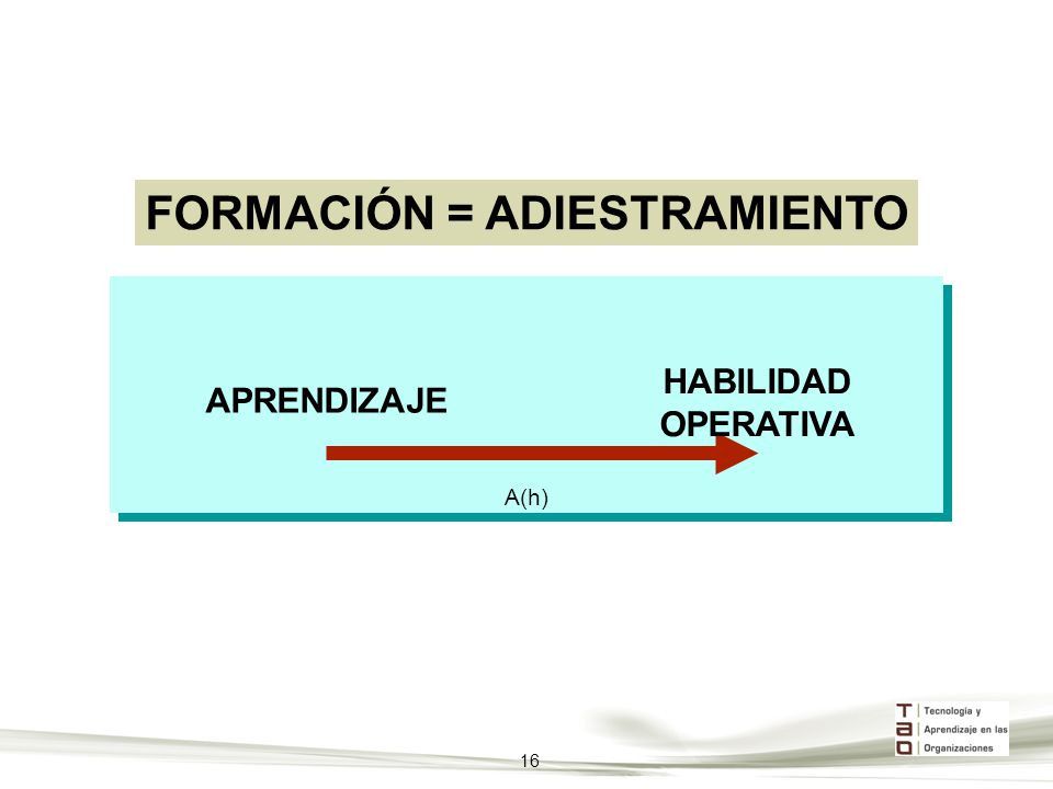 FORMACIÓN = ADIESTRAMIENTO