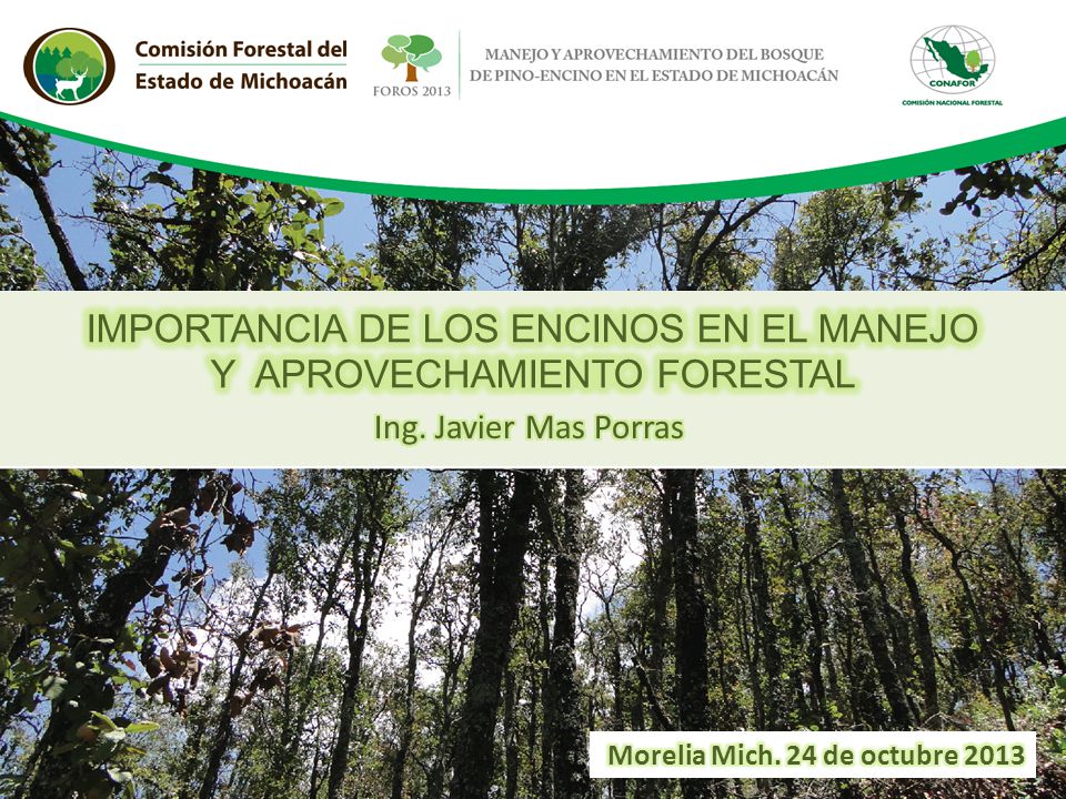 IMPORTANCIA DE LOS ENCINOS EN EL MANEJO Y APROVECHAMIENTO FORESTAL