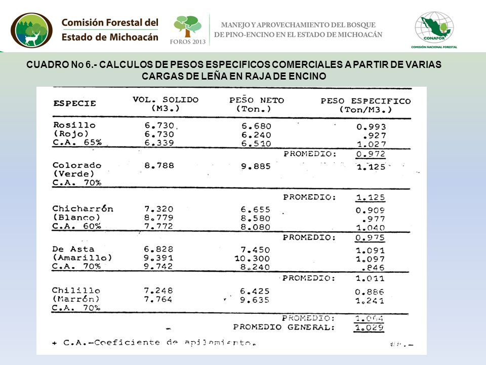 CARGAS DE LEÑA EN RAJA DE ENCINO