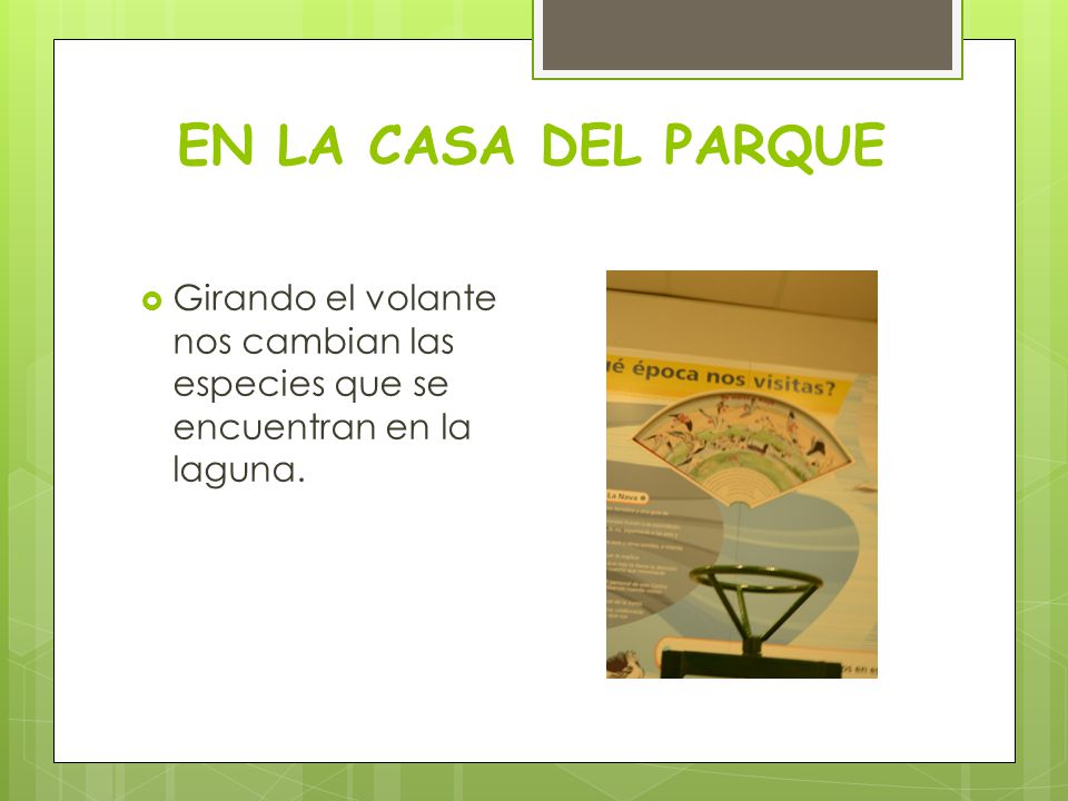 EN LA CASA DEL PARQUE Girando el volante nos cambian las especies que se encuentran en la laguna.