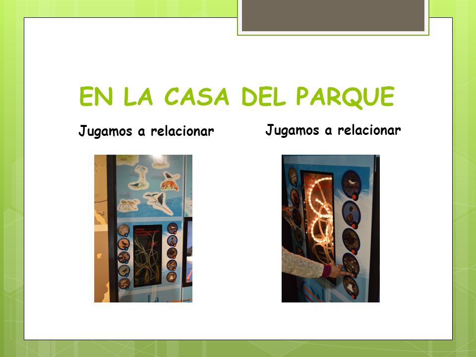 EN LA CASA DEL PARQUE Jugamos a relacionar Jugamos a relacionar
