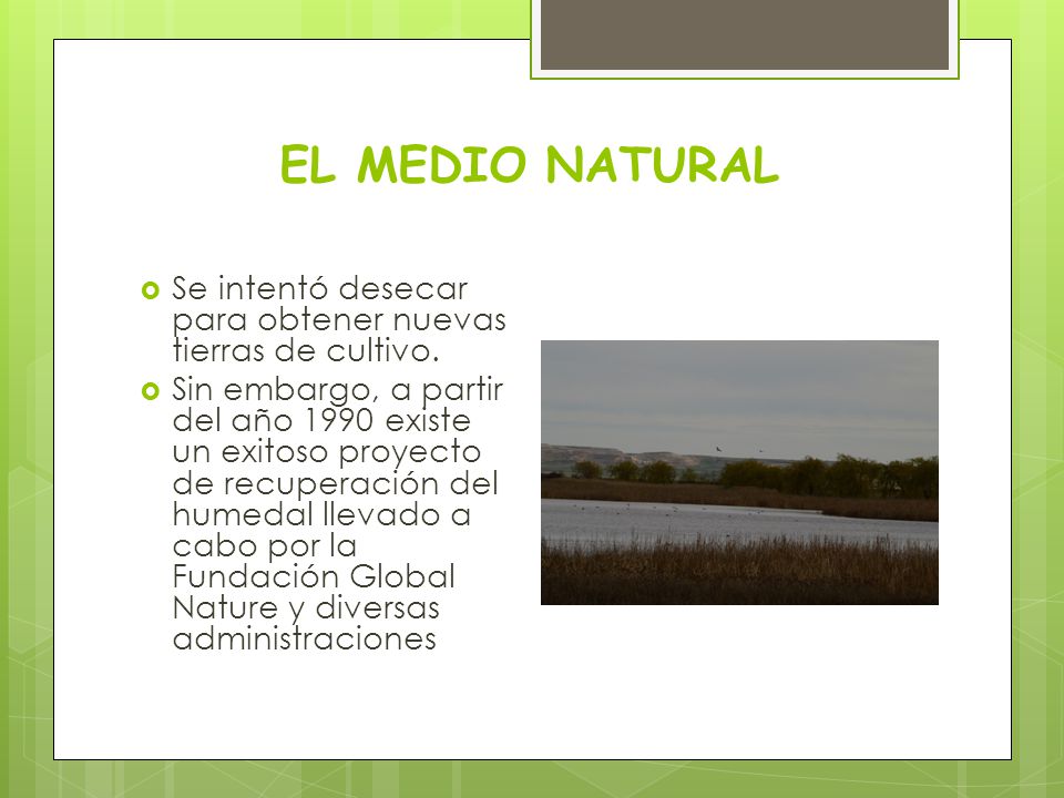 EL MEDIO NATURAL Se intentó desecar para obtener nuevas tierras de cultivo.