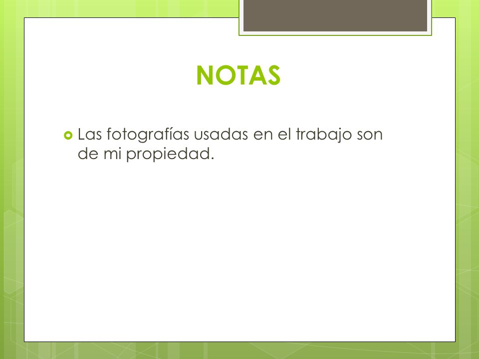 NOTAS Las fotografías usadas en el trabajo son de mi propiedad.