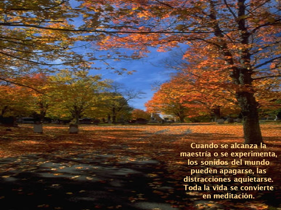 Cuando se alcanza la maestría o se experimenta, los sonidos del mundo pueden apagarse, las distracciones aquietarse.