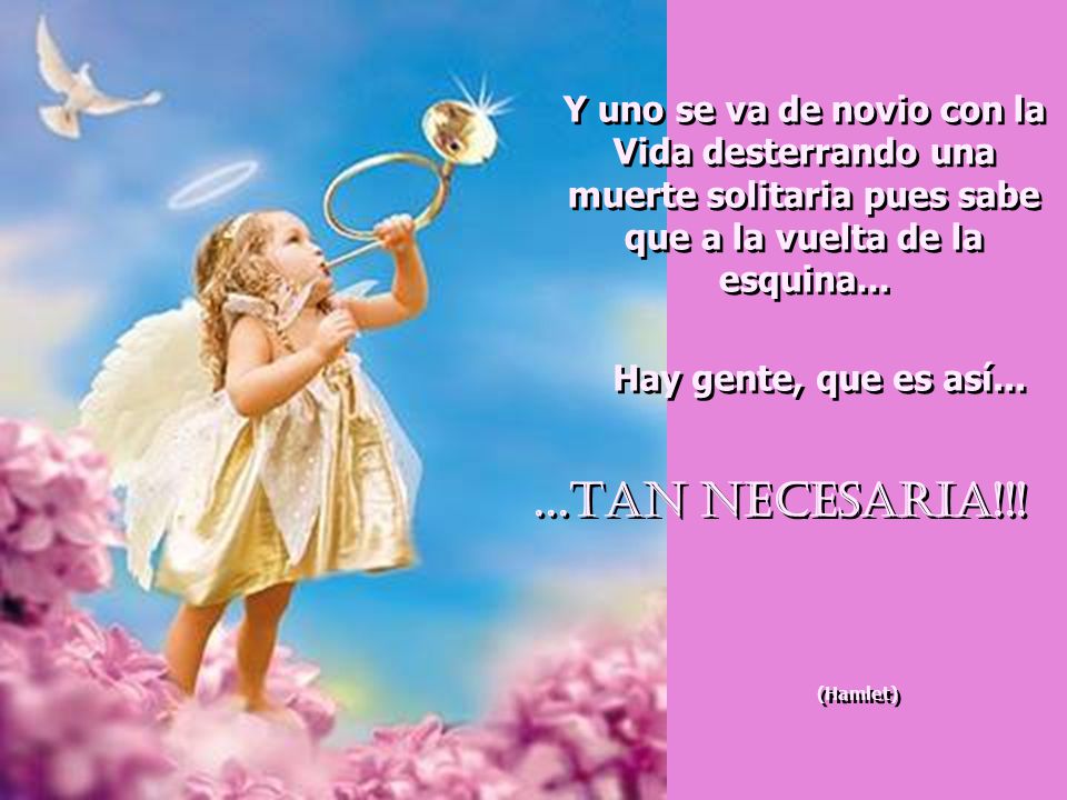 Y uno se va de novio con la Vida desterrando una muerte solitaria pues sabe que a la vuelta de la esquina...