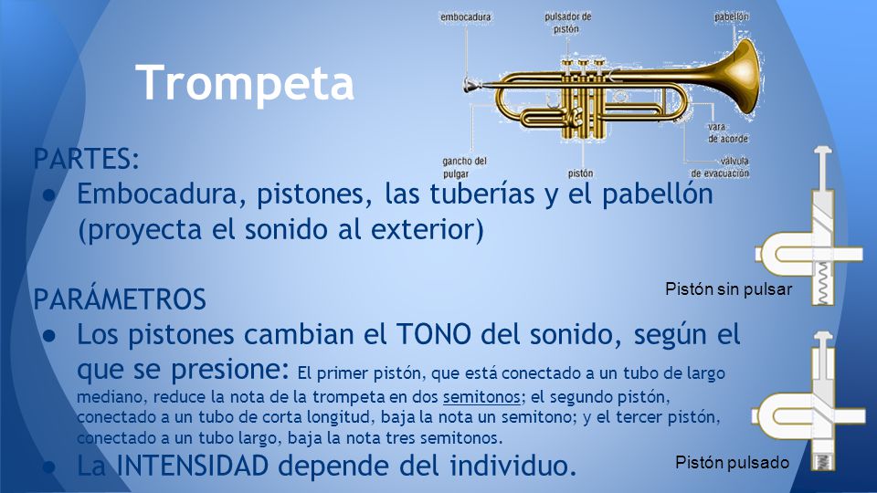 Trompeta PARTES: Embocadura, pistones, las tuberías y el pabellón (proyecta el sonido al exterior)