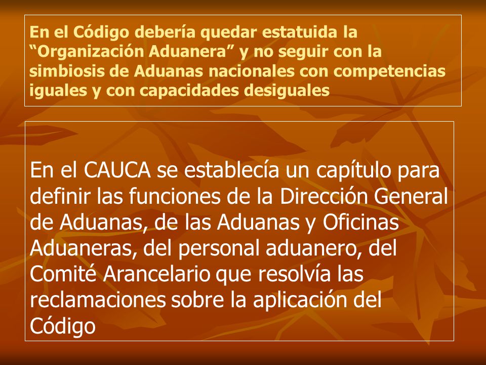 En el Código debería quedar estatuida la Organización Aduanera y no seguir con la simbiosis de Aduanas nacionales con competencias iguales y con capacidades desiguales