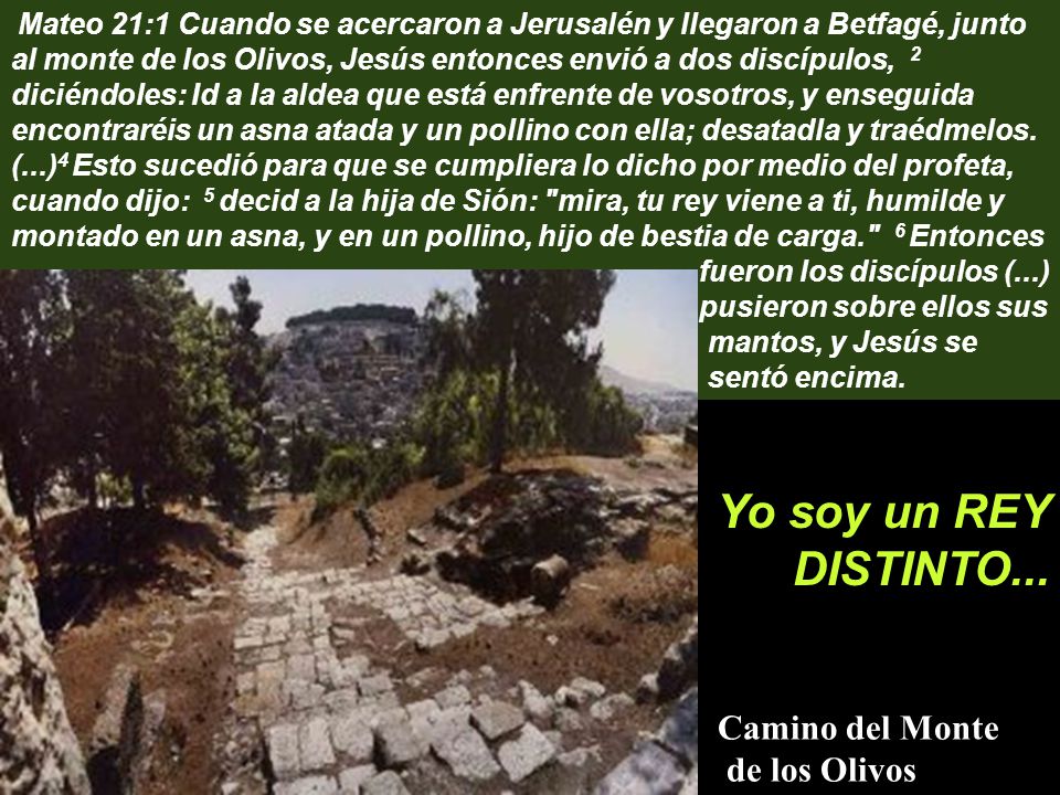 Mateo 21:1 Cuando se acercaron a Jerusalén y llegaron a Betfagé, junto al monte de los Olivos, Jesús entonces envió a dos discípulos, 2 diciéndoles: Id a la aldea que está enfrente de vosotros, y enseguida encontraréis un asna atada y un pollino con ella; desatadla y traédmelos. (...)4 Esto sucedió para que se cumpliera lo dicho por medio del profeta, cuando dijo: 5 decid a la hija de Sión: mira, tu rey viene a ti, humilde y montado en un asna, y en un pollino, hijo de bestia de carga. 6 Entonces