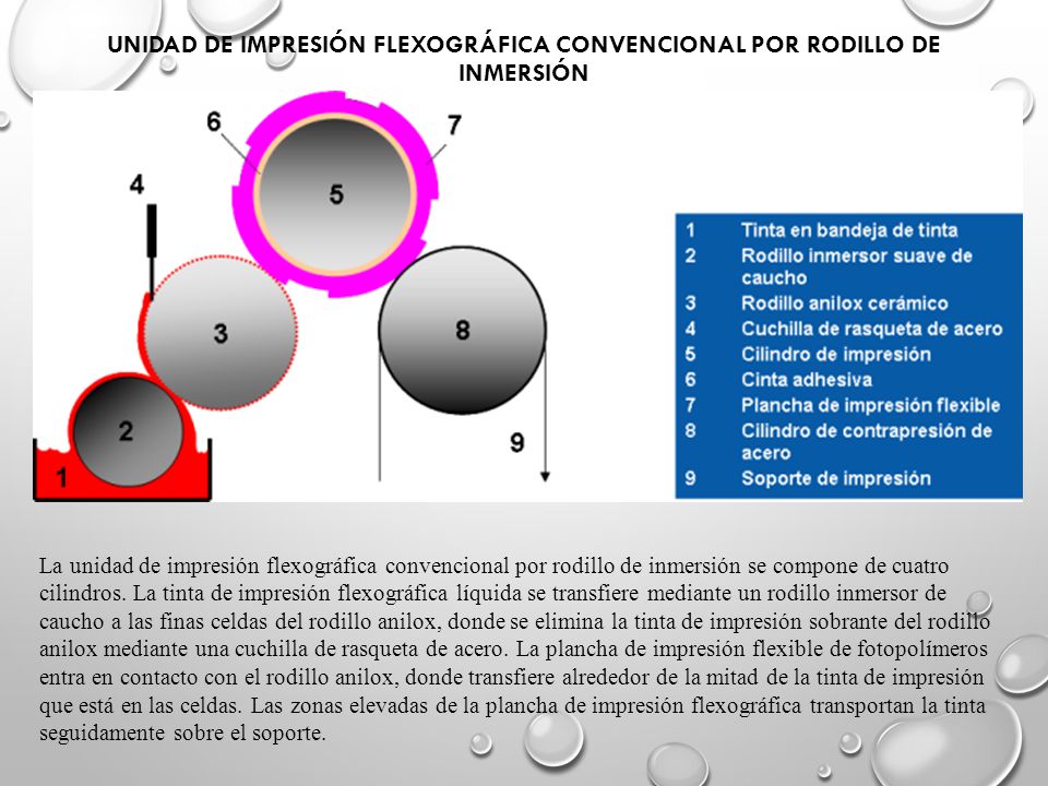 Unidad de impresión flexográfica convencional por rodillo de inmersión