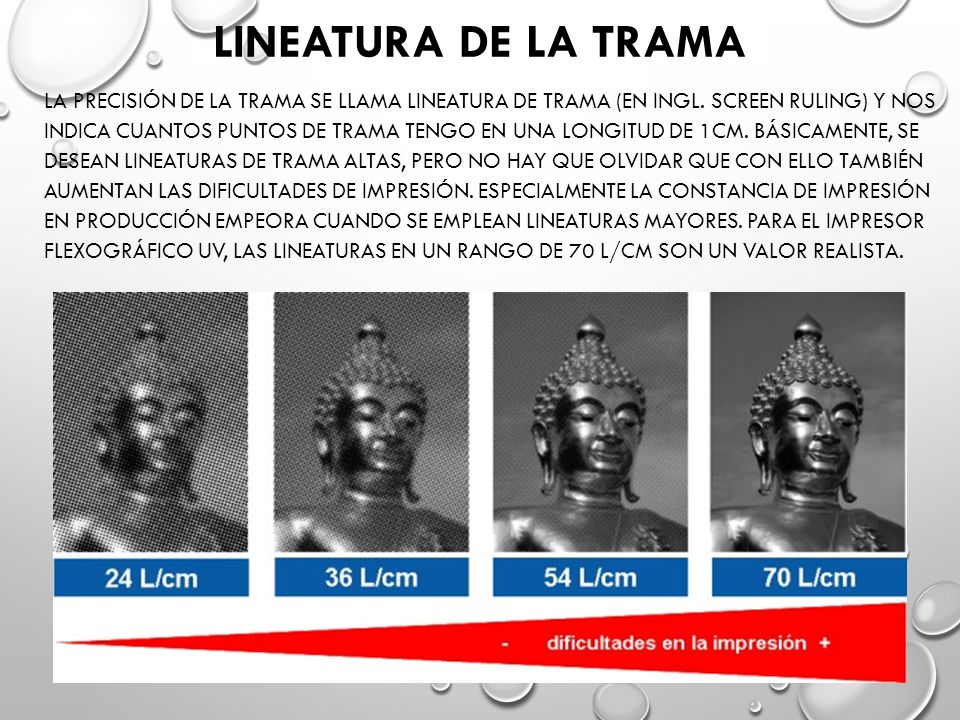 Lineatura de la trama
