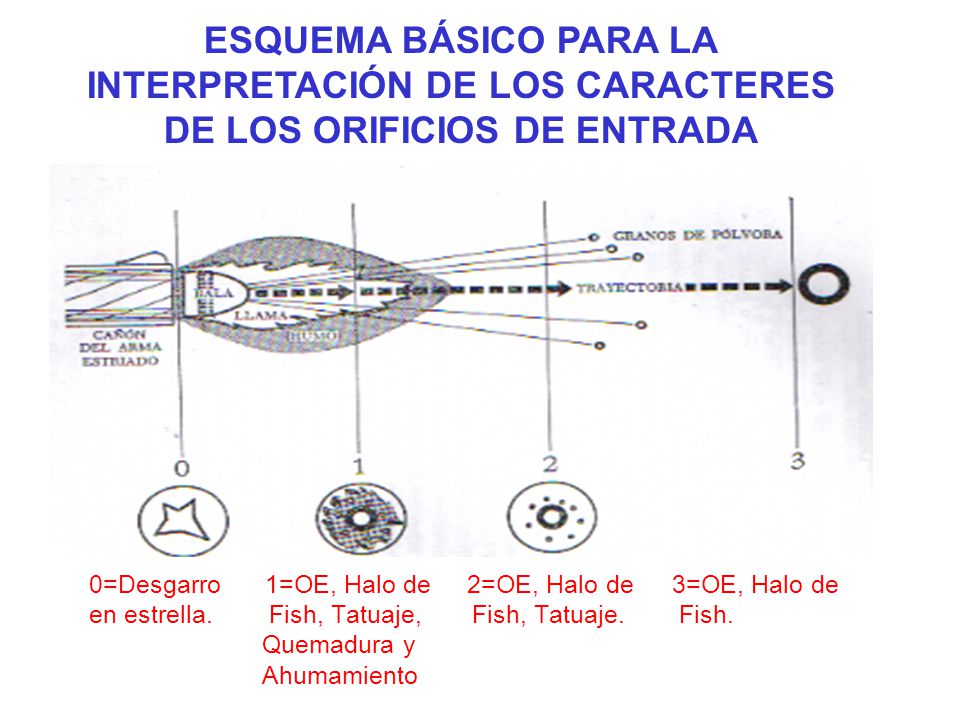 ESQUEMA BÁSICO PARA LA INTERPRETACIÓN DE LOS CARACTERES DE LOS ORIFICIOS DE ENTRADA
