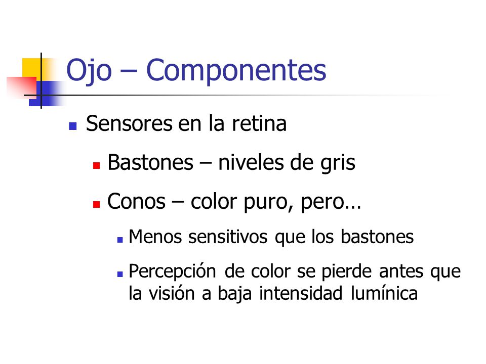 Ojo – Componentes Sensores en la retina Bastones – niveles de gris