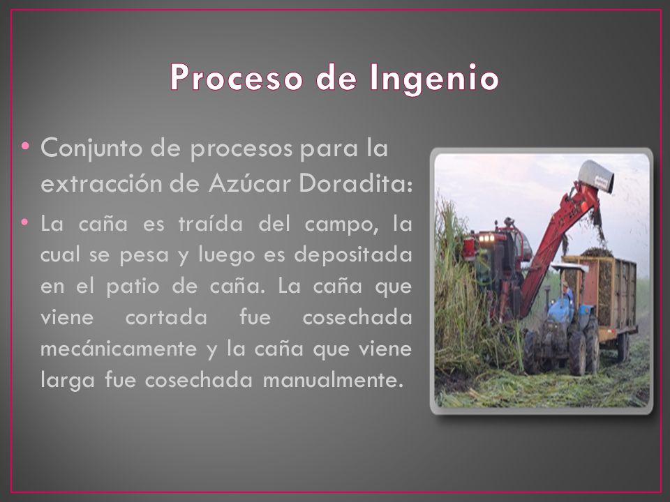 Proceso de Ingenio Conjunto de procesos para la extracción de Azúcar Doradita: