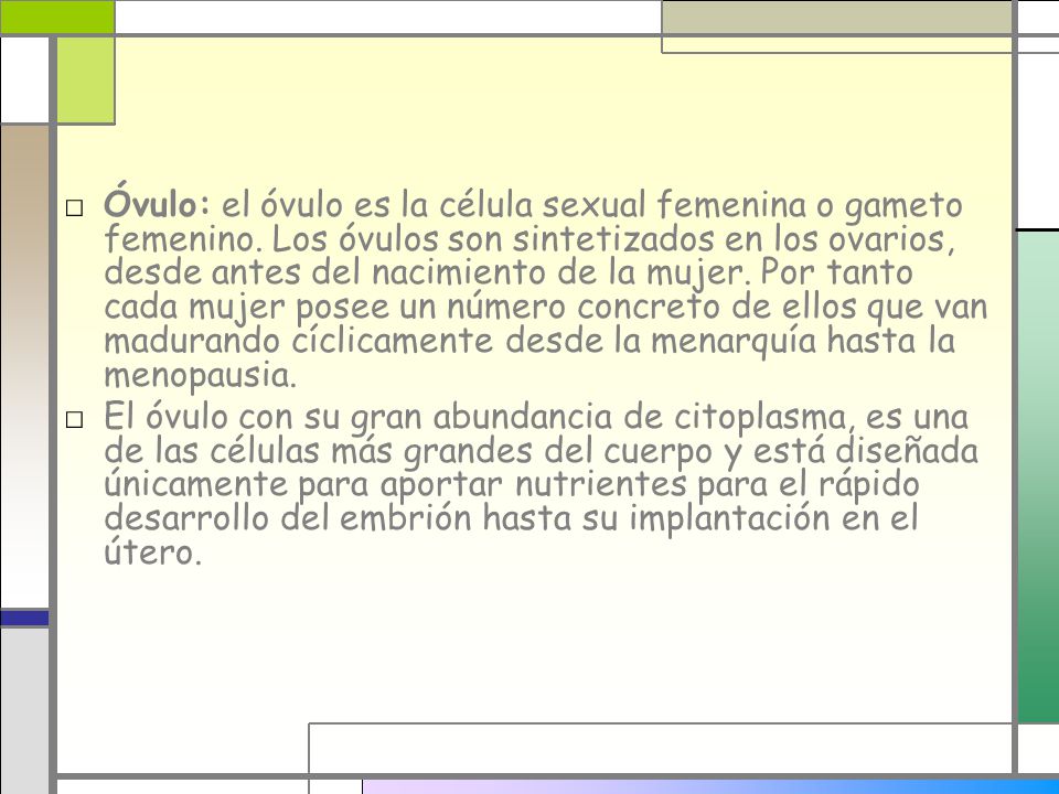 Óvulo: el óvulo es la célula sexual femenina o gameto femenino