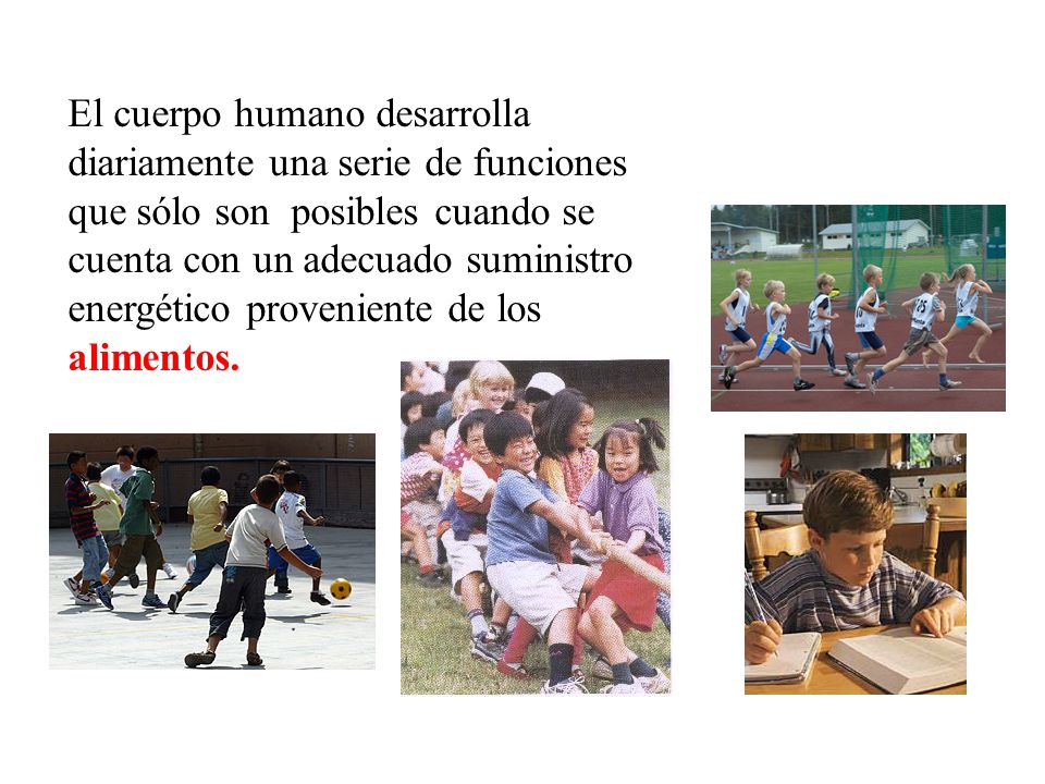 El cuerpo humano desarrolla diariamente una serie de funciones que sólo son posibles cuando se cuenta con un adecuado suministro energético proveniente de los alimentos.