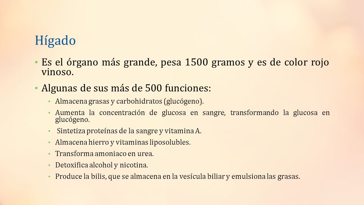 Hígado Es el órgano más grande, pesa 1500 gramos y es de color rojo vinoso. Algunas de sus más de 500 funciones:
