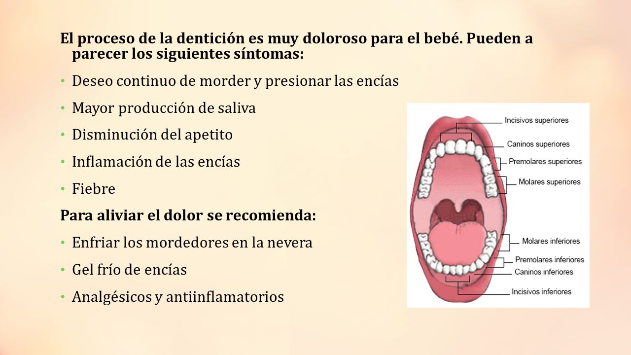 El proceso de la dentición es muy doloroso para el bebé
