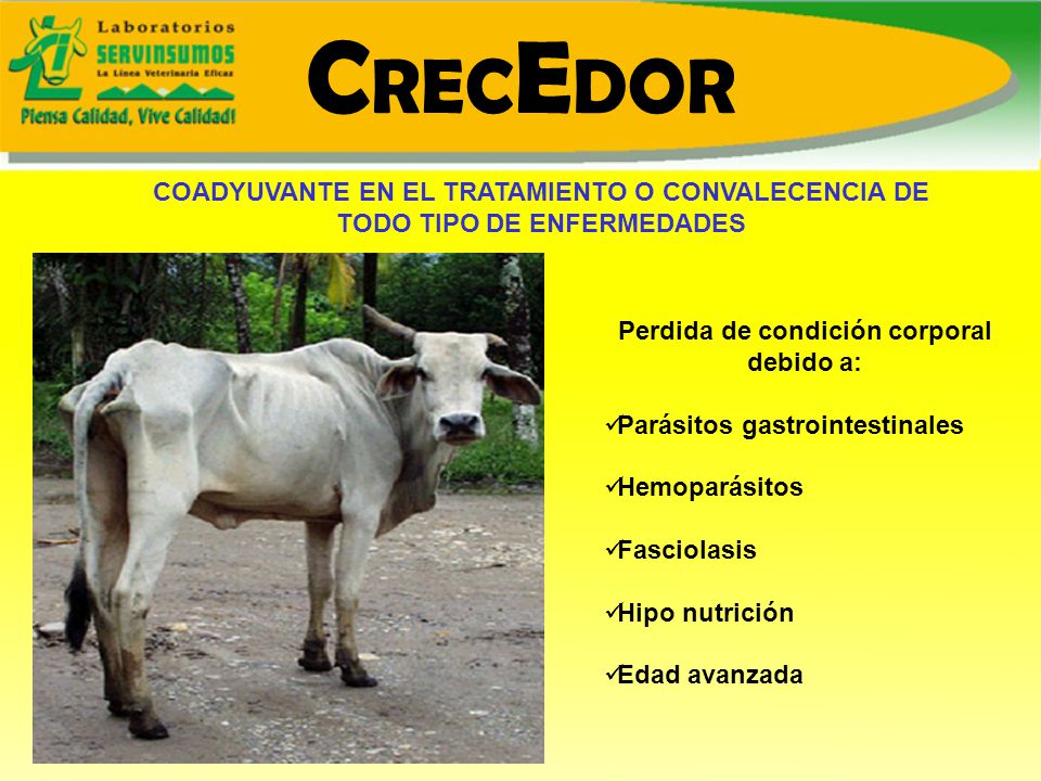 Perdida de condición corporal debido a: