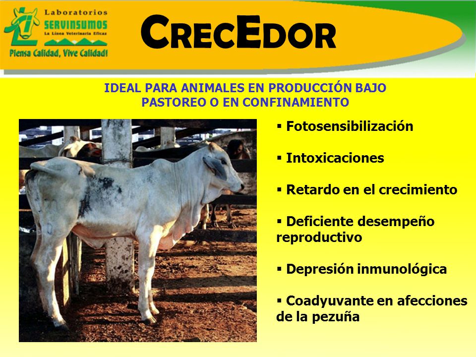 IDEAL PARA ANIMALES EN PRODUCCIÓN BAJO PASTOREO O EN CONFINAMIENTO