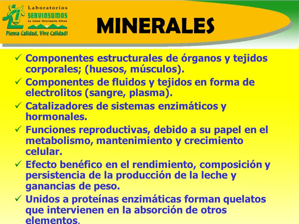 MINERALES Componentes estructurales de órganos y tejidos corporales; (huesos, músculos).